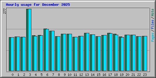 Hourly usage for December 2025